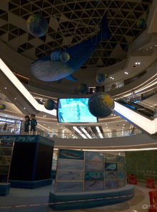 易車湖南車友會 駛入星城文創潮流，探索長沙城市新脈動